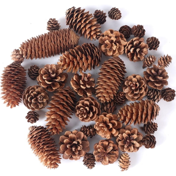 40 Pack Pine Cones 0.78" - 3.51" Real All Natural Pinecones in Bulk (Unscented) Various Size - Perfect for Arts and Crafts, Home Decor Accent Vase Filler