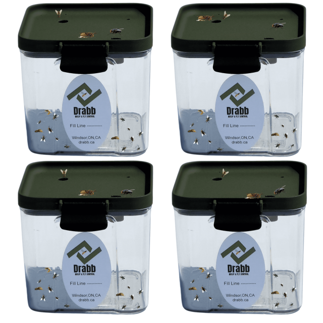 Discreet Wasp Trap & Fly Trap 4-Pack. Professional Grade. Durable & Ready for Anywhere Perfect for wasps, yellow jackets, carpenter bees, flies and more.