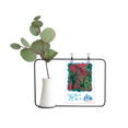 thumbnail image 1 of Planta de piña Leaf cielo rojo Jarrones colgantes de vidrio transparente Decoración Botella, 1 of 4