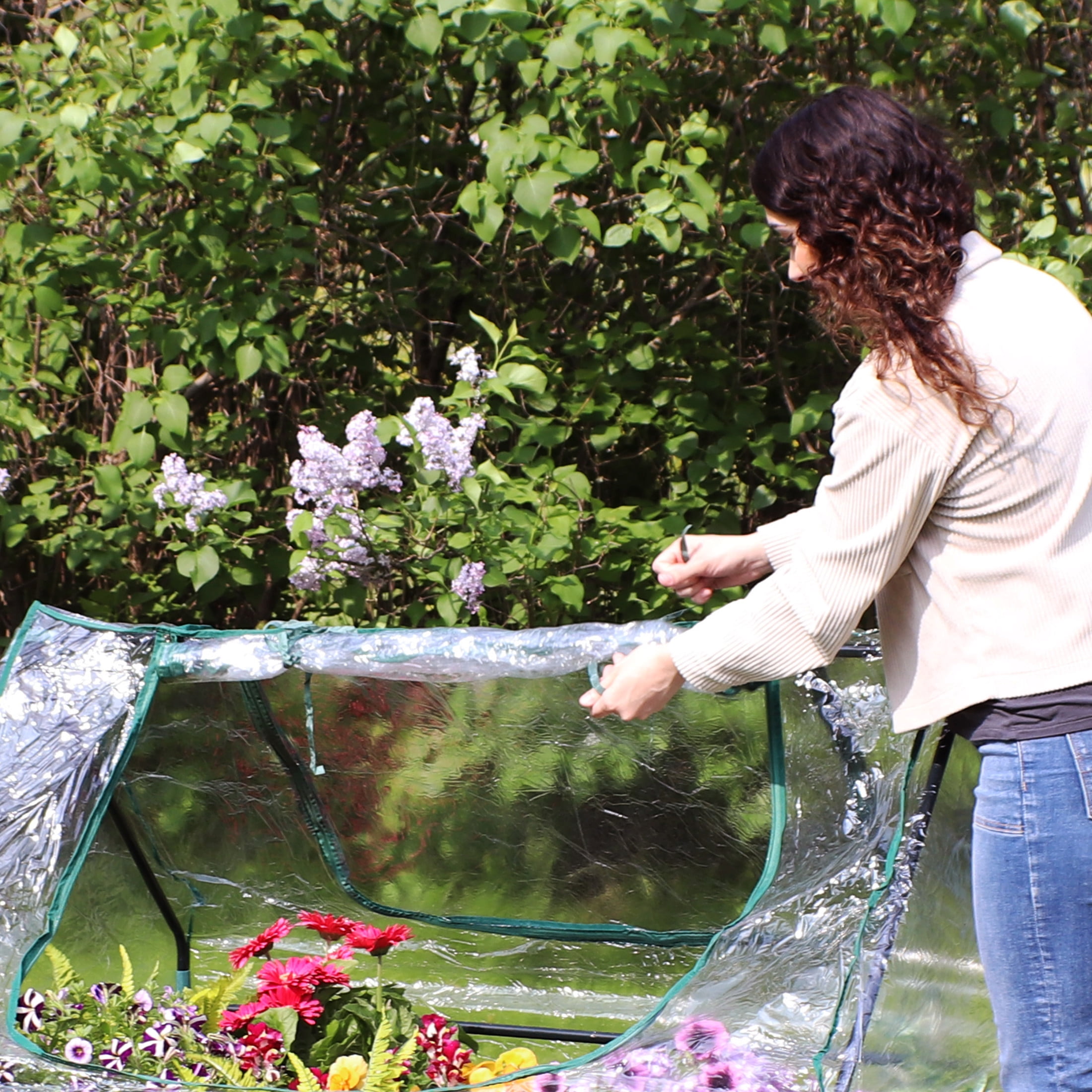 Sunnydaze 4' x 3' x 3' Outdoor Portable Mini Greenhouse, Clear Cover
