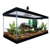 Aqua Culture Terrarium