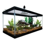 Aqua Culture Terrarium