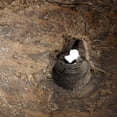 thumbnail image 2 of Cyan Design 09758 Jemima Iron And Wood Abstract Statue - Rustic, 2 of 4