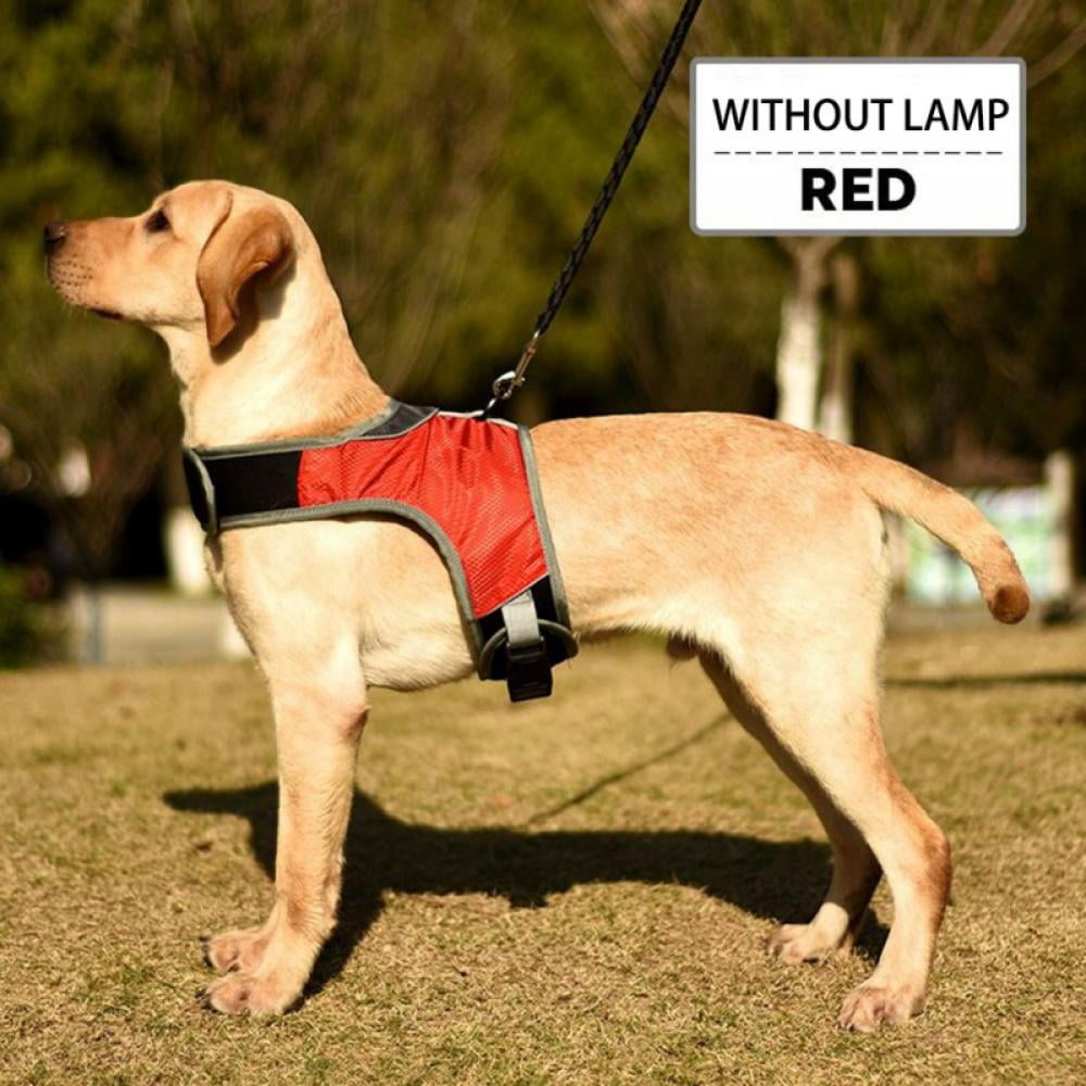USB Rechargeable No Pull Pet Vest Harness with Comfortable Padded Suit for Small/Medium/Large Dog Domi LED Dog Harness 