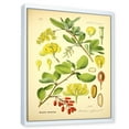 thumbnail image 3 of Designart 'Ancient Plant Life II' Traditional Framed Canvas Wall Art Print, 3 of 5