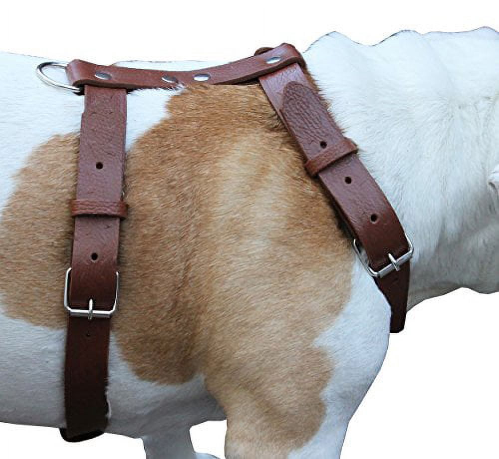 Brown Genuine Tooled Leather Dog Harness Large. 27"-37" Chest, 1.25" Wide Straps Pitbull, Boxer
