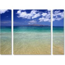 Trademark Fine Art "Hawaii Blue Beach" Canvas Art by Pierre Leclerc Three Panel Set