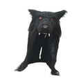 thumbnail image 2 of Máscara de , máscara de animal, chal de piel sintética novedoso para el hombro, máscara de Halloween para suministros para fiestas de carnaval y Negro, 2 of 8