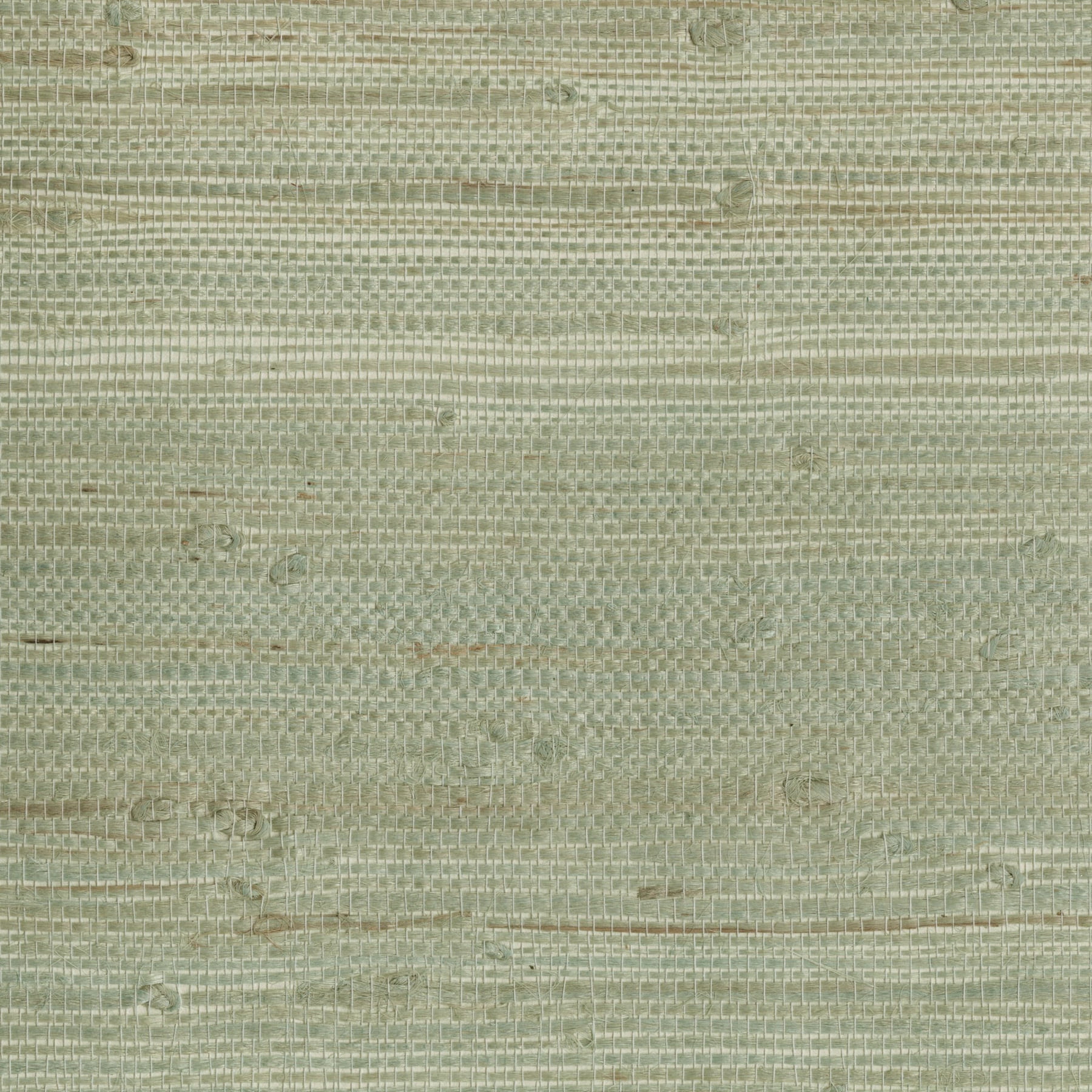 Kenneth James Myogen Golden Green Grasscloth Wallpaper Sample - Walmart.com