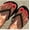 JJP009-Y1-B3 bright red solid color [glue model], variant on Solid color toenail patch, big red wearing nail short, removable jelly glue nail art wholesale