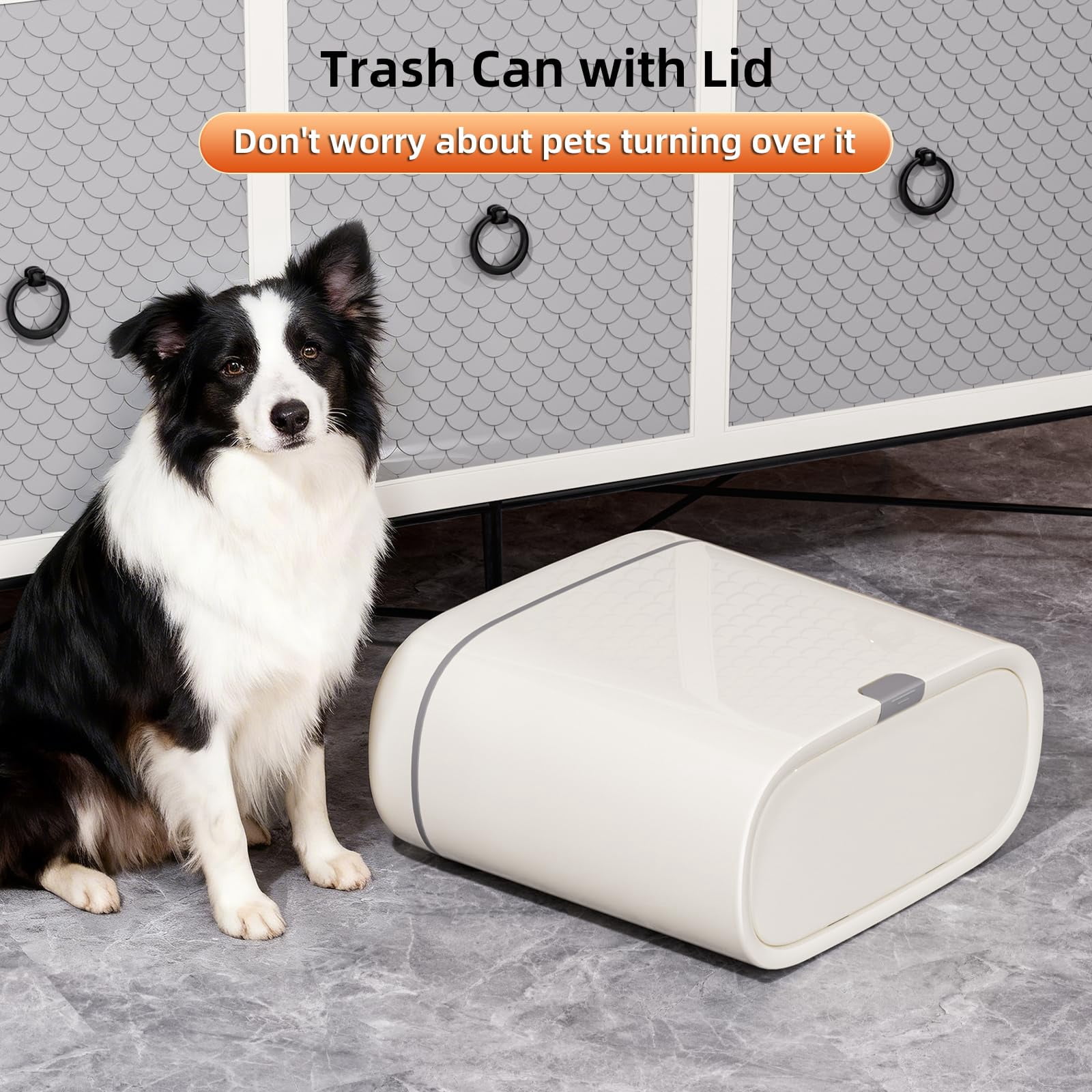 Garbage Can With Lid 2.6 Gallon Slim Plastic Wastebasket