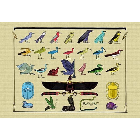 Birds and Other Creatures from Egyptian Monuments- Fine Art Canvas Print (20" x 30")