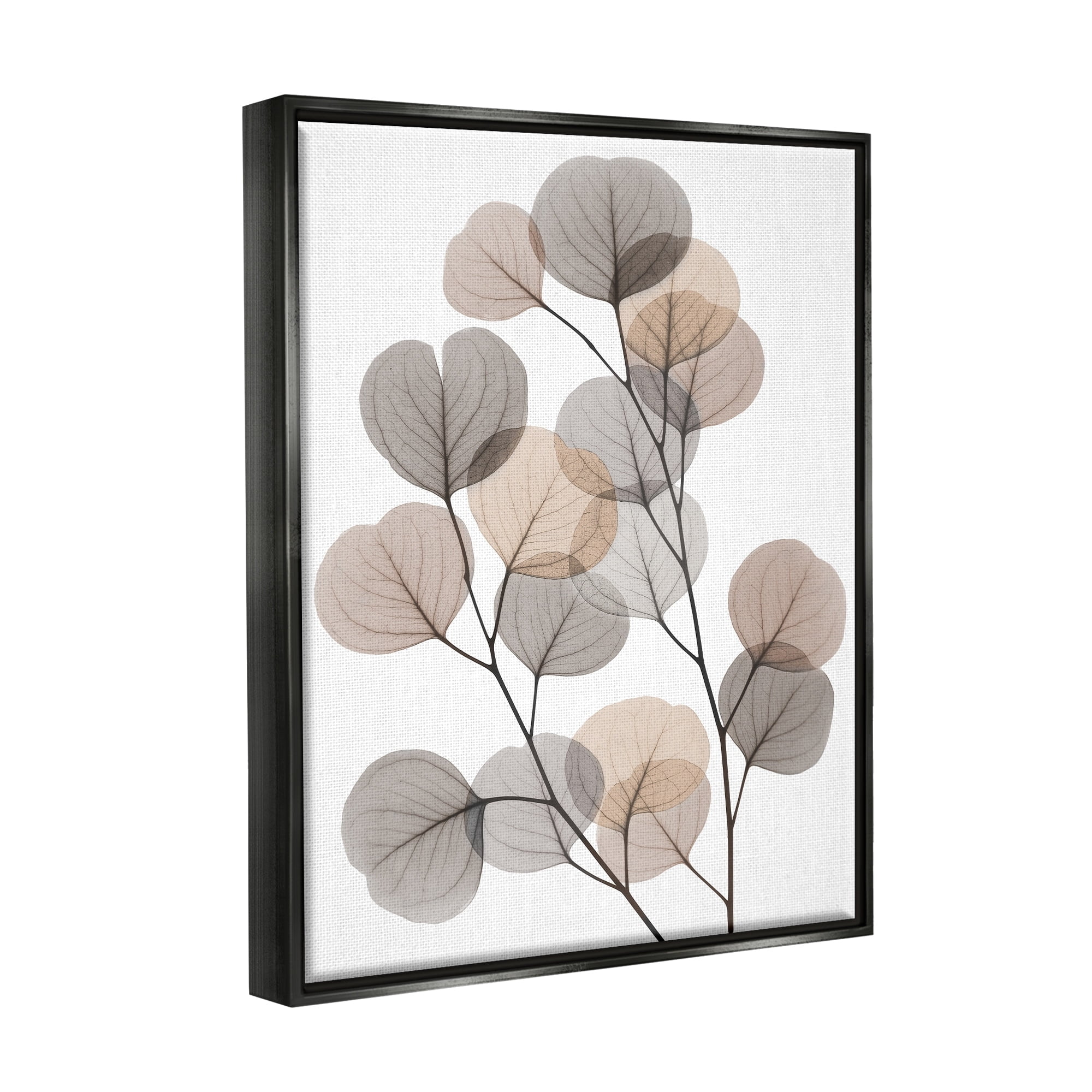 Stupell Industries Modern Eucalyptus Leaf Stems Translucent Brown Grey Leaves Jet Black Framed Floating Canvas Wall Art, 16x20, by Albert Koetsier