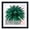 Black, variant on Black 12x12 Picture Frame, Solid Wood Diamond Art Painting Frames 30x30cm, Display Pictures 10x10 with Mat or 12 x 12 Without Mat, Square 12x12 Frame for Photos Prints Posters Artworks, Wall Mounting