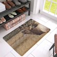 thumbnail image 3 of MKHERT Deer Wilderness Elk in Rocky Mountain National Park Doormat Rug Home Decor Floor Mat Bath Mat 30x18 inch, 3 of 3