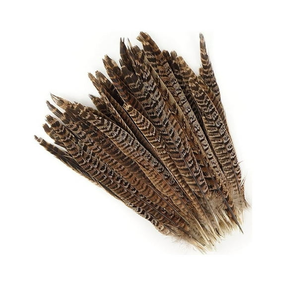 Zucker Feather Products Female Ringneck Pheasant Tails - Natural - 8 - 10" - 100 pcs