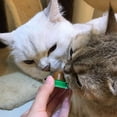 thumbnail image 2 of Cat Sugar Ball Cat Snacks Candy Licking Solid Nutrition Cat Treats Energy Ball Toy With Natural Catnip And Sucker For Cats, 2 of 5