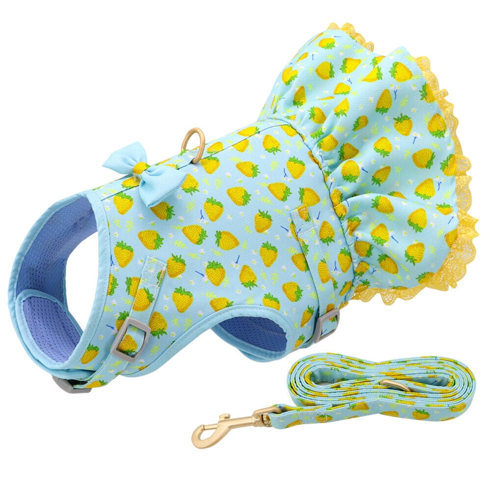 Pet Artist Cute Girl Dog Harness Dress and Leash set Fancy Summer Small Pet Cat Vest Clothes