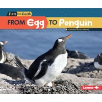 From Egg to Penguin