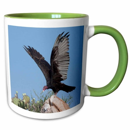 3dRose Turkey Vulture bird spreading wings to warm - US44 LDI0719 - Larry Ditto - Two Tone Green Mug, 11-ounce