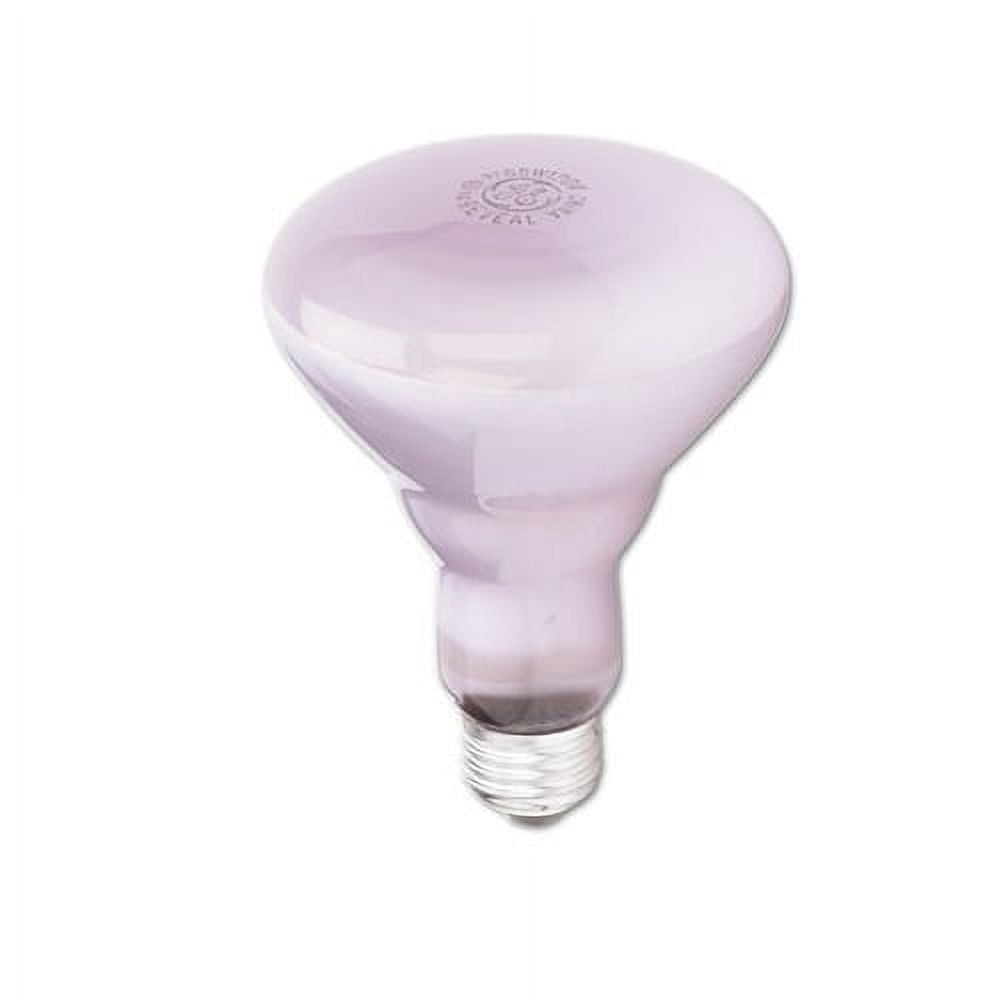 Incandescent Reveal BR30 Light Bulb 65 W