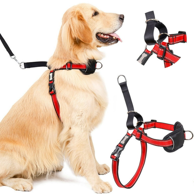 Dog walking halter 2025