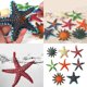 thumbnail image 2 of 8Pieces Marine Life Star Fish Toy Pool Diving Beach Sand Play Toy for Children Water Play Swimming Practice Activity Toy, 2 of 4