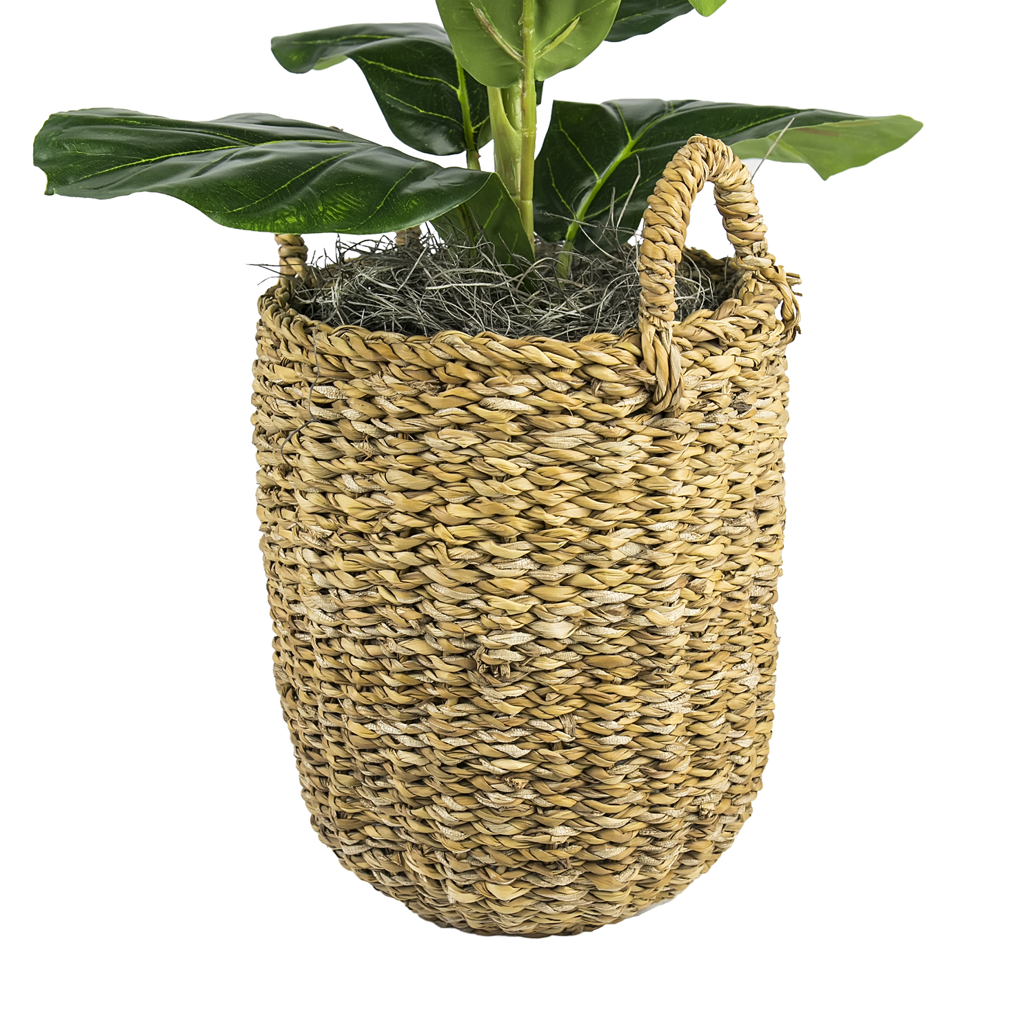 LCG Florals 2.5 Ft Artificial Fig Plant in Handwoven Basket photo 8