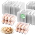 thumbnail image 1 of ZHIGLMYD - Paquete de 50 cajas de cart&oacute;n de pl&aacute;stico para huevos de gallina, 12 unidades de almacenamiento de huevos de pl&aacute;stico, baratos y baratos a granel (50), 1 of 7