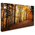 thumbnail image 2 of Trademark Fine Art "Autumn Leaves Pathway" Canvas Art by Philippe Sainte-Laudy, 2 of 3