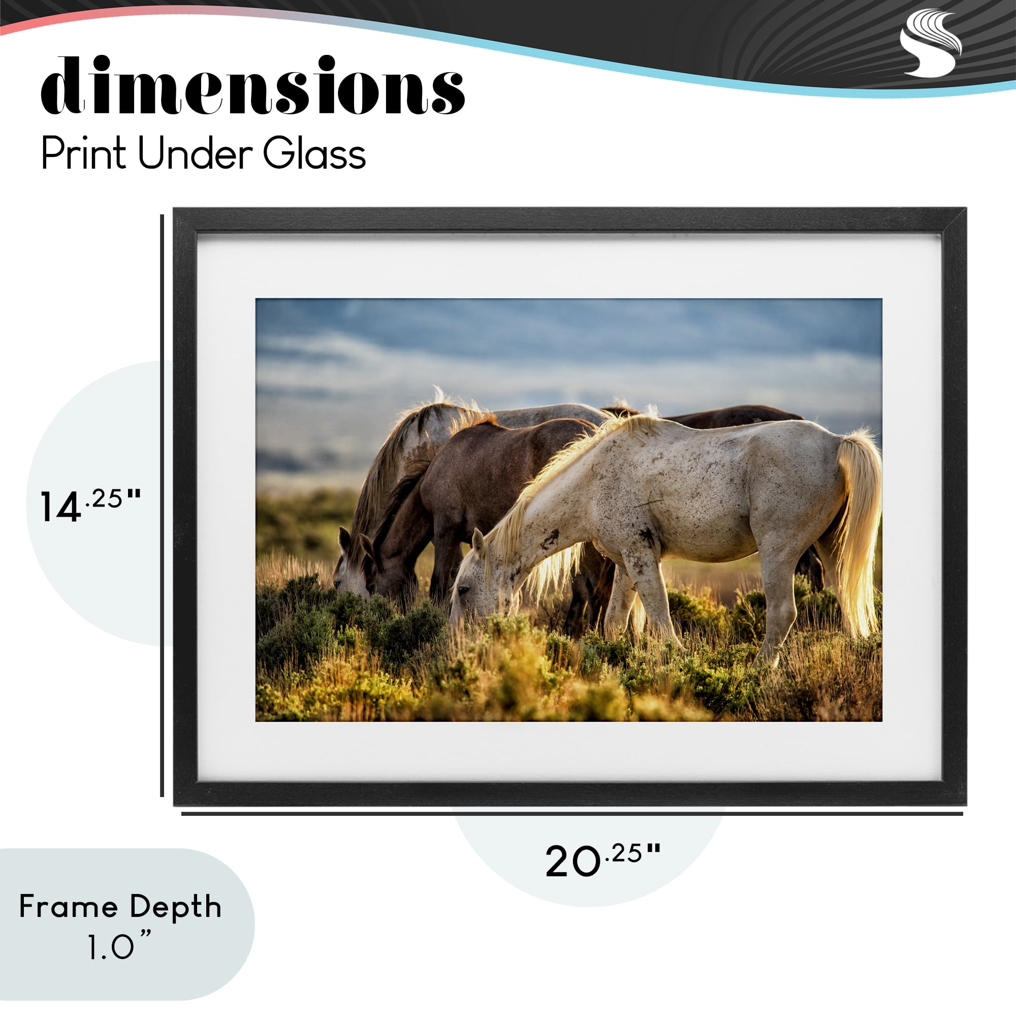 Stupell Industries Equine Evening Graze Black Framed Print Under Glass, design by Tim West