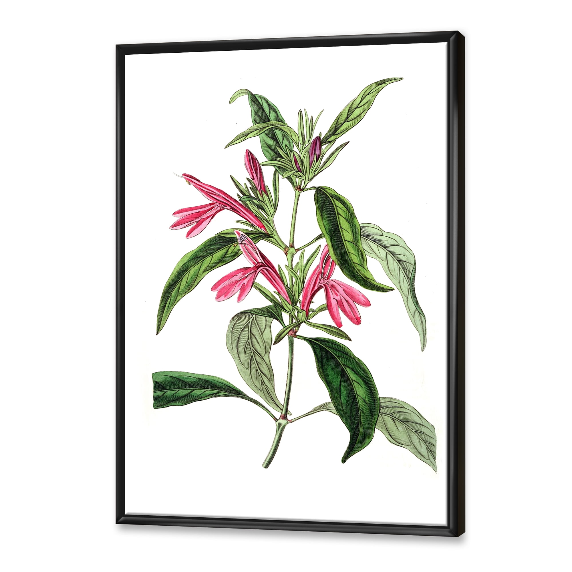 Designart 'Ancient American Flora VII' Traditional Framed Canvas Wall Art Print
