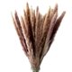 thumbnail image 1 of 60 uds hierba de pampa seca Natural, Phragmites Communis, planta de caña, ramo de flores de boda decoración del hogar flor Diy MFZFUKR 2027206, 1 of 9