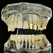 14k Gold Plated Double Two Tooth Grillz Left Side 2-Tooth Caps Slugs Hip Hop Grills