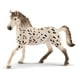 thumbnail image 1 of Schleich Horse Club Juguetes de caballos coleccionables para niñas y niños Knapstrupper Stallion Spotted Horse Toy Edades 5, 1 of 4