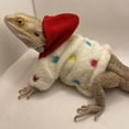 thumbnail image 5 of Bearded Dragon Clothes Costume Accessories Apparel Clothing Hand-made Warm Coat Hoodies Jackets for Small Animal Geckos, 5 of 11