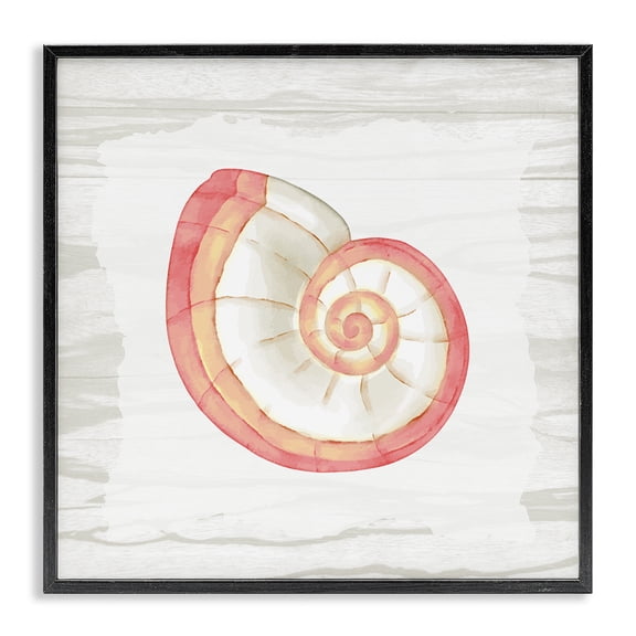 Stupell Industries Rustic Lodge Patterned Nautilus Shell Black Framed Giclee Art, 12 x 12, by Anne Bailey