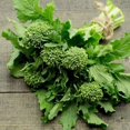 thumbnail image 1 of GSDWIUEW RAPINI Raab Broccoli 70-80 Seeds Heirloom Variety Seed, 1 of 3