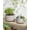 Reactive Glaze Star White, variant on RibRave Succulent Pots, 6.5+8 Inch Ceramic Indoor Plant Pot with Drainage Hole, Shallow Round Succulent Planters, Set of 2, Reactive Glaze Star White
