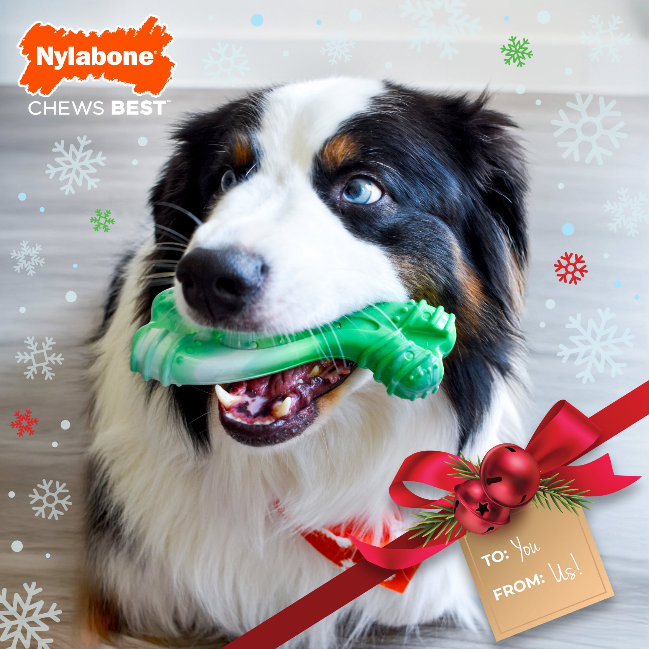 Nylabone Power Chew Curvy Bone Dog Toy, Dog Chew Toy, Wintergreen Flavor, Large, 1 Count