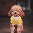 thumbnail image 4 of unbranded 2Ud Accesorio Pañuelo Amarillo Para Cachorro Cómodo Y Funcional Para Paseos Y Eventos Especiales, 4 of 6