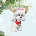 thumbnail image 3 of Adorno Navideño Hallmark Keepsake Reindoggie 2025, 3 of 8