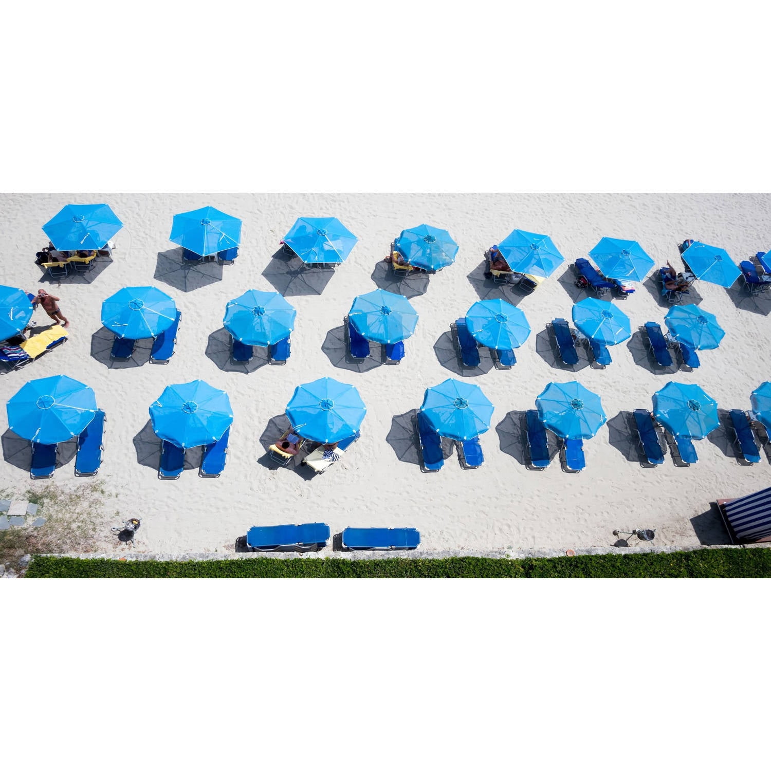 Marmont Hill "Blue Umbrellas" Painting Print on Wrapped Canvas