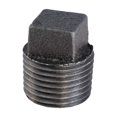 thumbnail image 1 of Everflow Fournitures BMPL6000 Bouchon en Fer Malléable Noir avec Tête Carrée, 6 Pouces, 1 of 4
