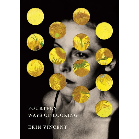 Fourteen Ways of Looking, (Hardcover)