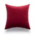 thumbnail image 2 of Juego de 2, acogedora funda de almohada de terciopelo liso, funda decorativa para cojín de sofá, funda suave para sofá Euro con cremallera de 45x45cm, 2 of 5