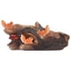thumbnail image 1 of Macetas Suculentas ANGGREK Con Orificio de drenaje, 1 of 8