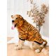 thumbnail image 2 of Tiger Skin Print Pet Hoodie, 2 of 5