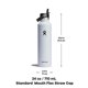 thumbnail image 4 of Botella de agua Hydro Flask Standard Flex Straw Cap 700 ml, 4 of 7