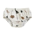 thumbnail image 1 of Huanglei Boys Swim Trunks With Cartoon Designs Comfortable Swimwear For Kids Beach Pool Water Play ,, 1 of 3